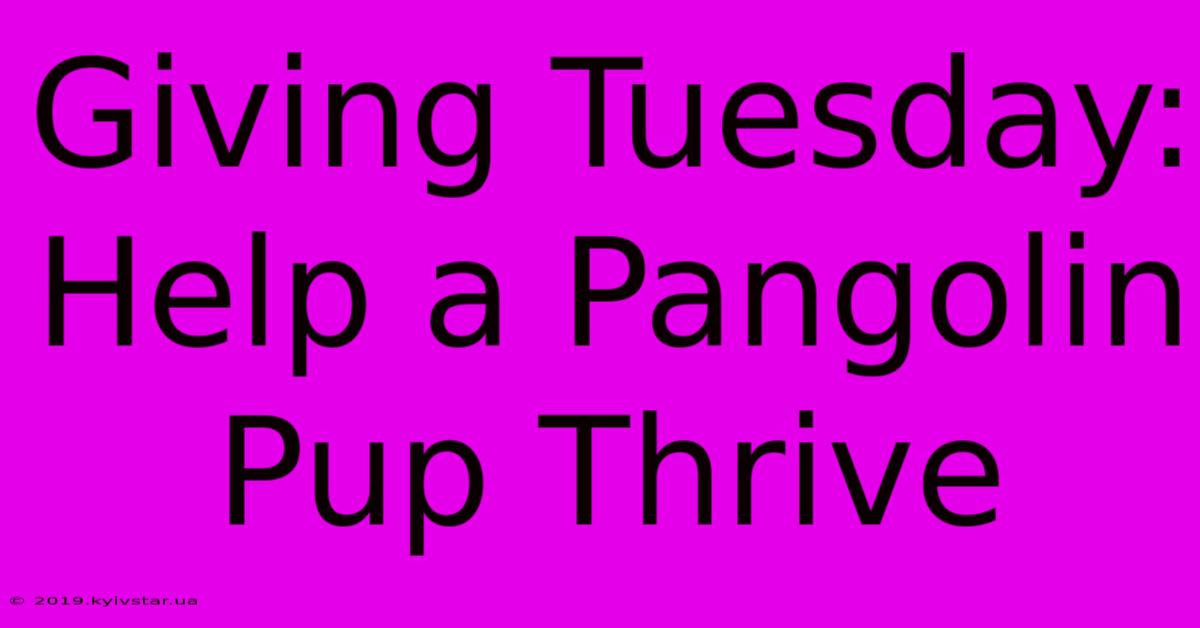 Giving Tuesday: Help A Pangolin Pup Thrive