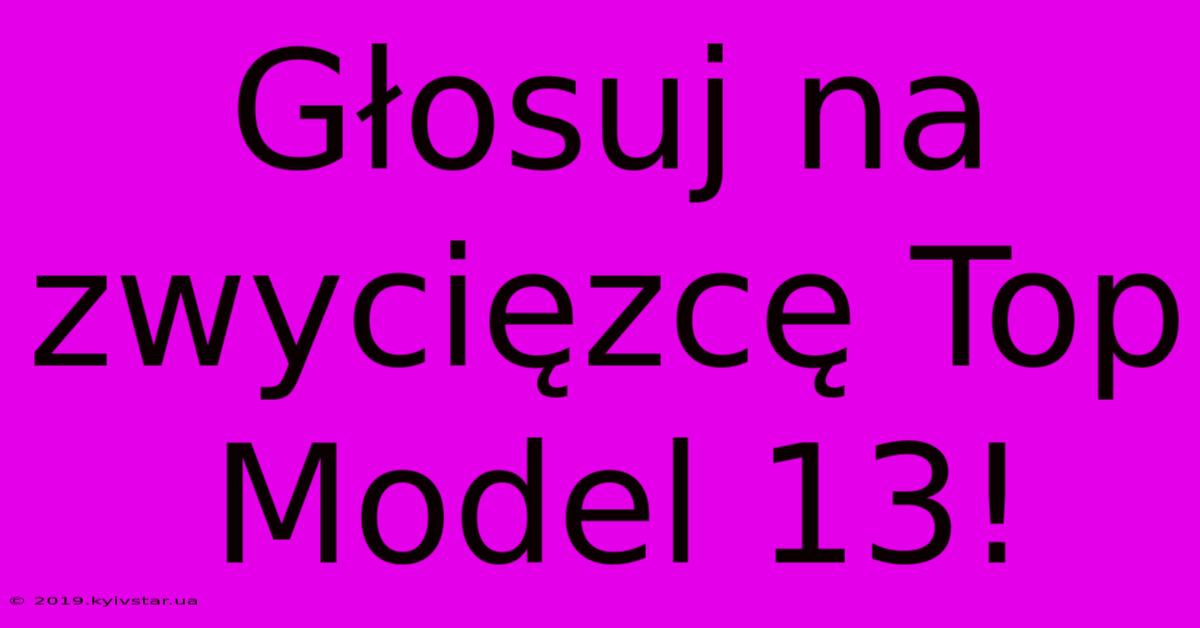 Głosuj Na Zwycięzcę Top Model 13!