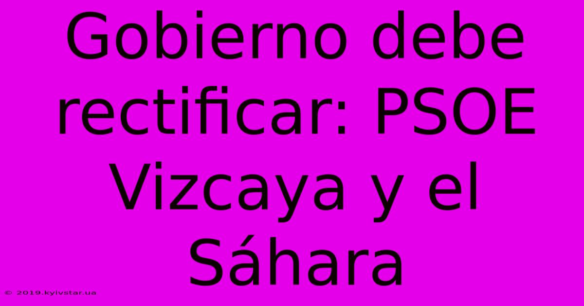 Gobierno Debe Rectificar: PSOE Vizcaya Y El Sáhara