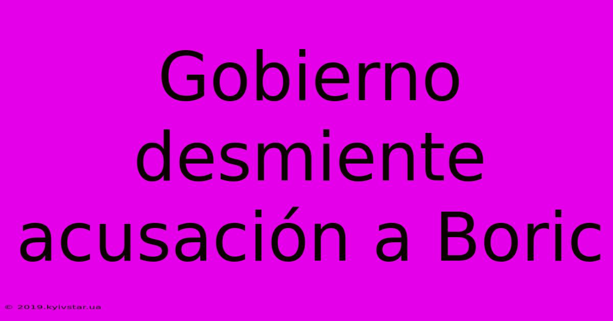 Gobierno Desmiente Acusación A Boric