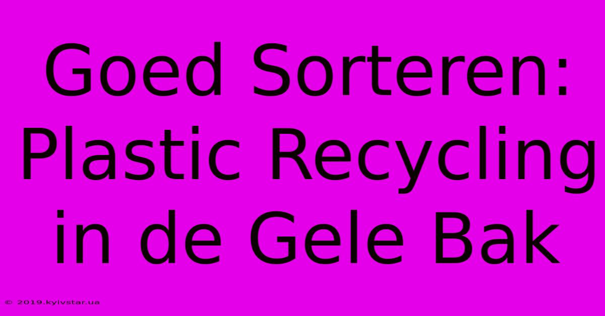 Goed Sorteren: Plastic Recycling In De Gele Bak 