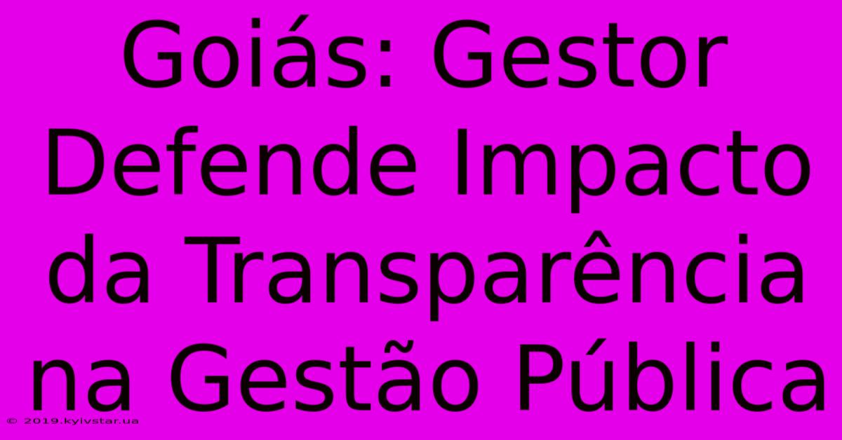 Goiás: Gestor Defende Impacto Da Transparência Na Gestão Pública