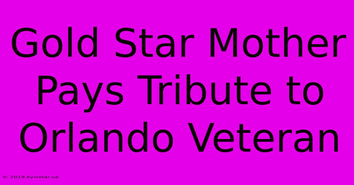 Gold Star Mother Pays Tribute To Orlando Veteran