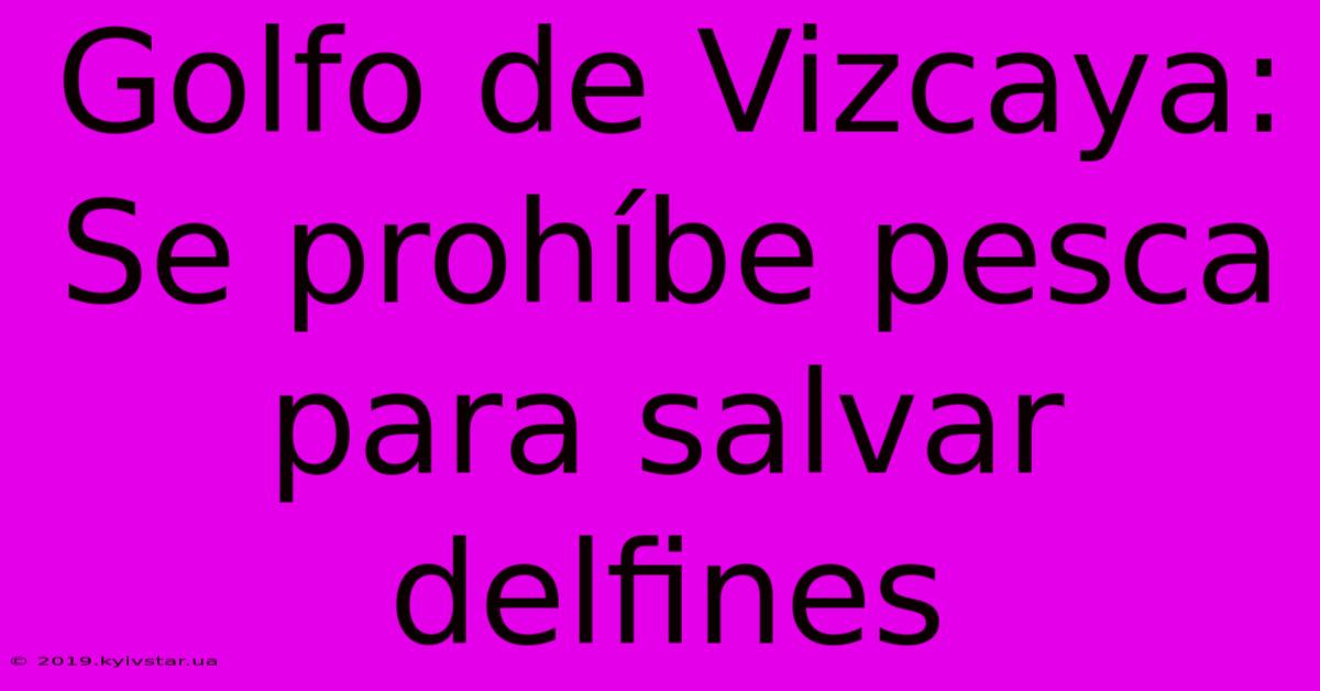 Golfo De Vizcaya: Se Prohíbe Pesca Para Salvar Delfines