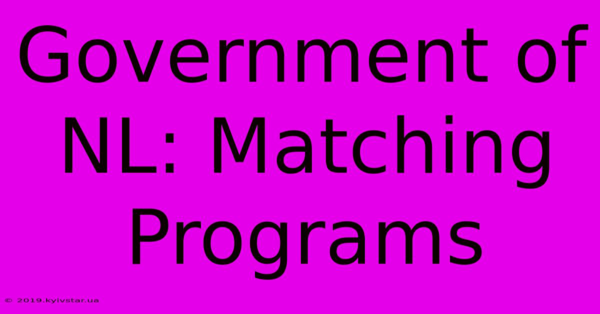 Government Of NL: Matching Programs