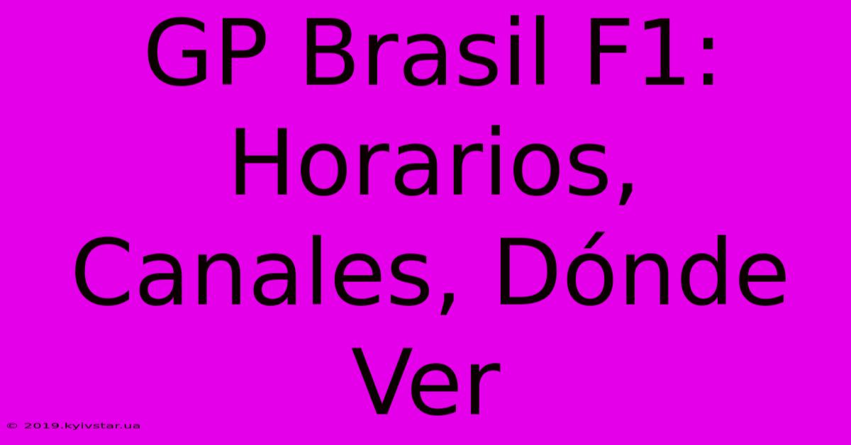 GP Brasil F1: Horarios, Canales, Dónde Ver