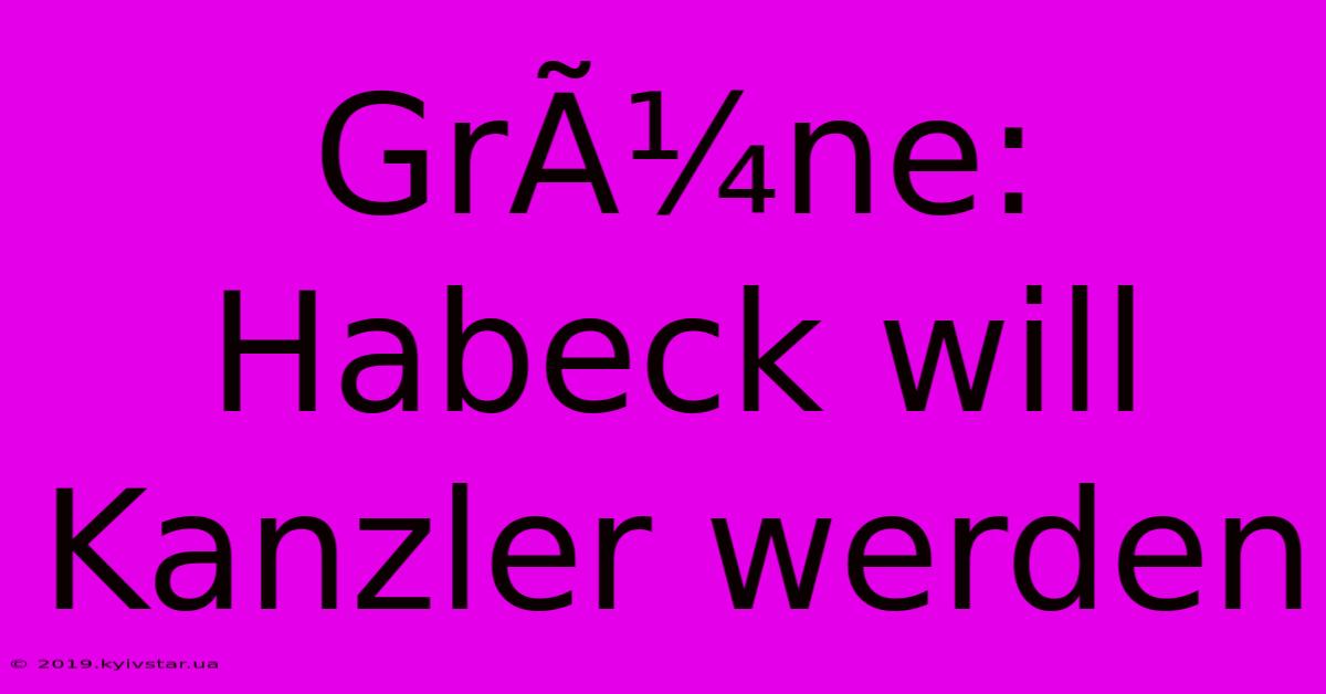 GrÃ¼ne: Habeck Will Kanzler Werden