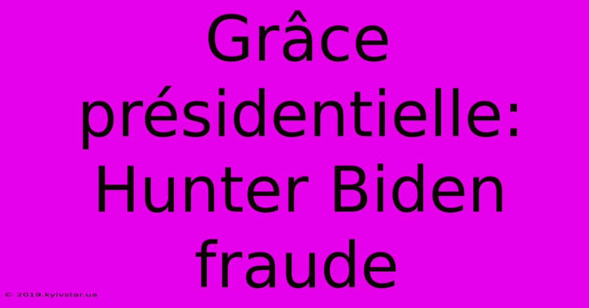 Grâce Présidentielle: Hunter Biden Fraude