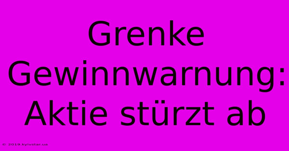 Grenke Gewinnwarnung: Aktie Stürzt Ab