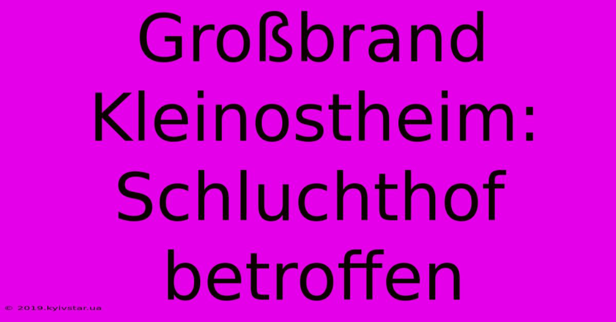 Großbrand Kleinostheim: Schluchthof Betroffen