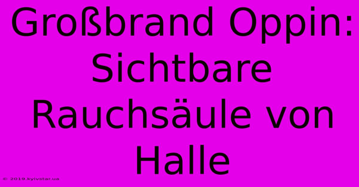 Großbrand Oppin: Sichtbare Rauchsäule Von Halle