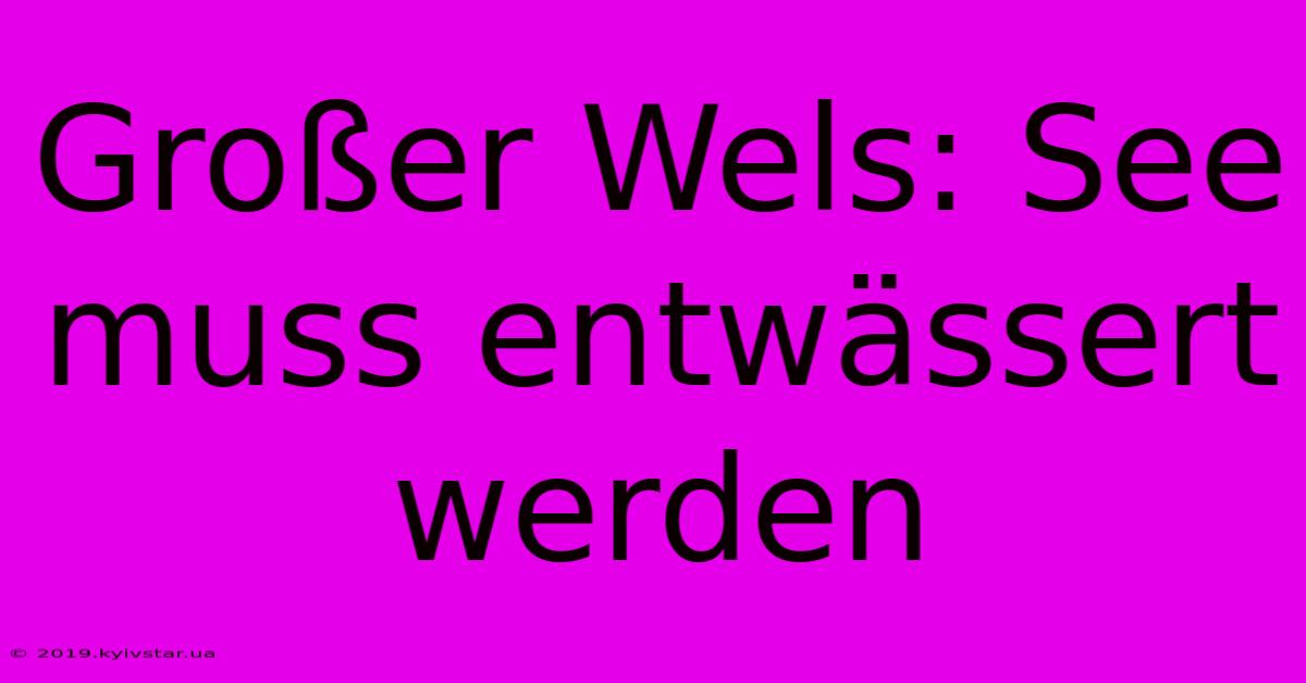 Großer Wels: See Muss Entwässert Werden