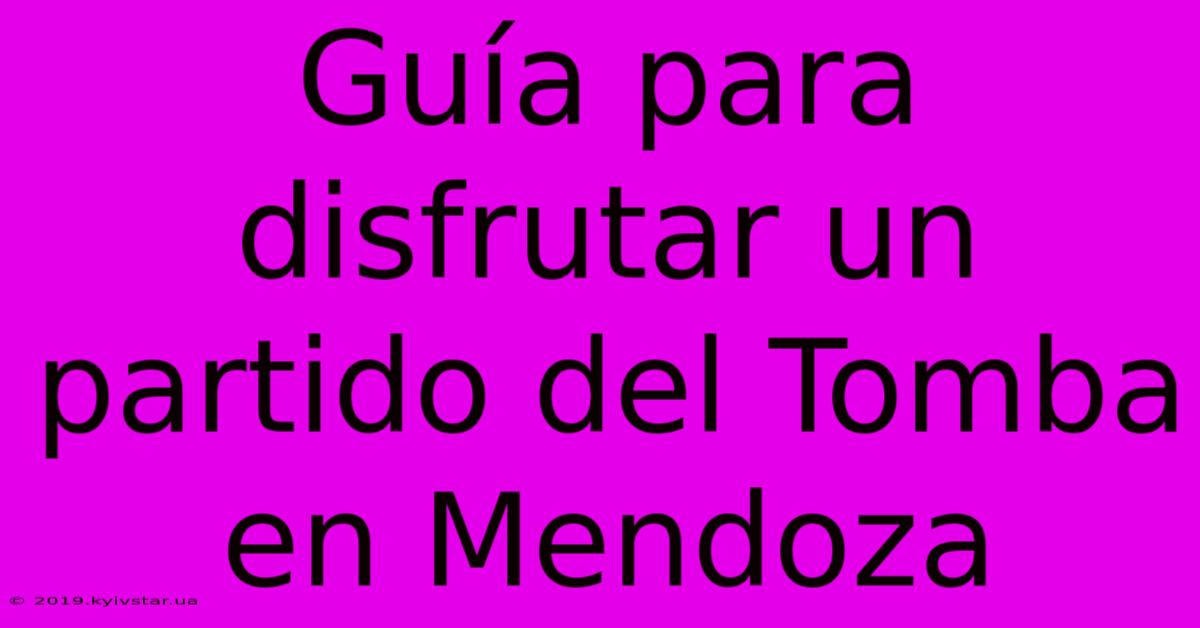 Guía Para Disfrutar Un Partido Del Tomba En Mendoza