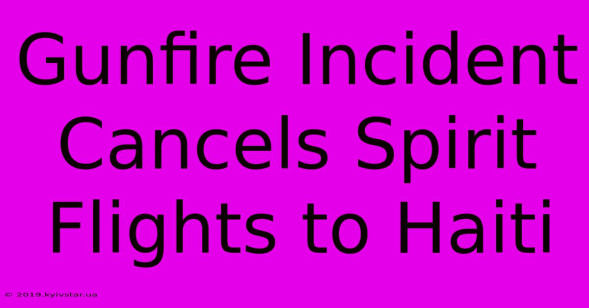 Gunfire Incident Cancels Spirit Flights To Haiti 