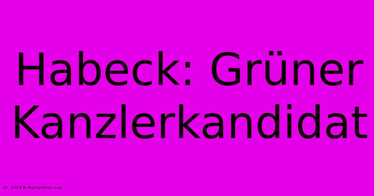 Habeck: Grüner Kanzlerkandidat