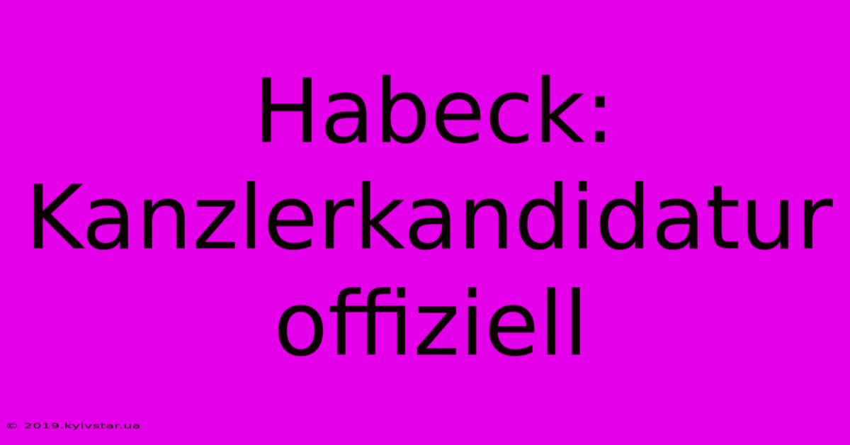 Habeck: Kanzlerkandidatur Offiziell