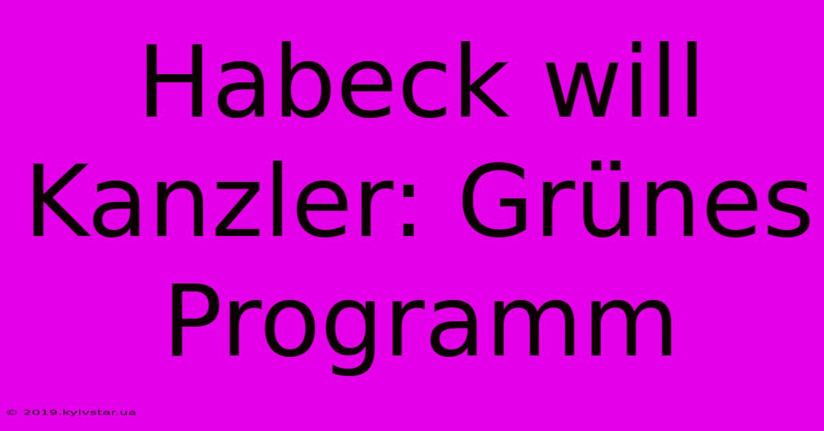 Habeck Will Kanzler: Grünes Programm