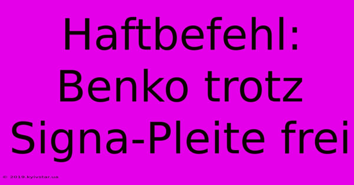 Haftbefehl: Benko Trotz Signa-Pleite Frei