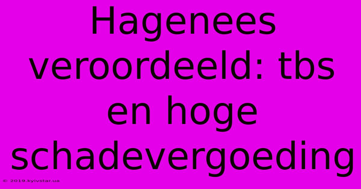 Hagenees Veroordeeld: Tbs En Hoge Schadevergoeding