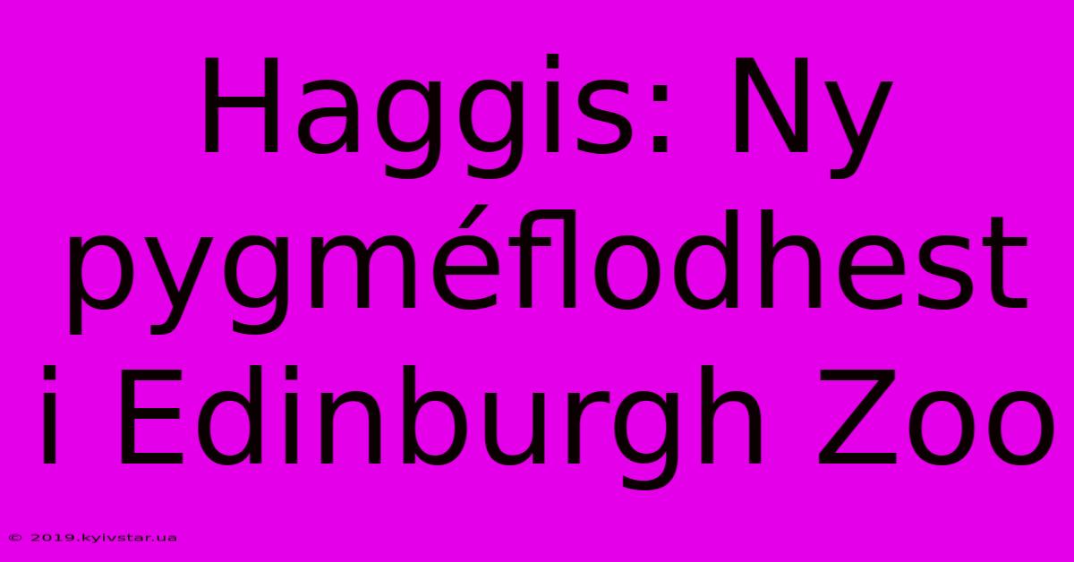 Haggis: Ny Pygméflodhest I Edinburgh Zoo