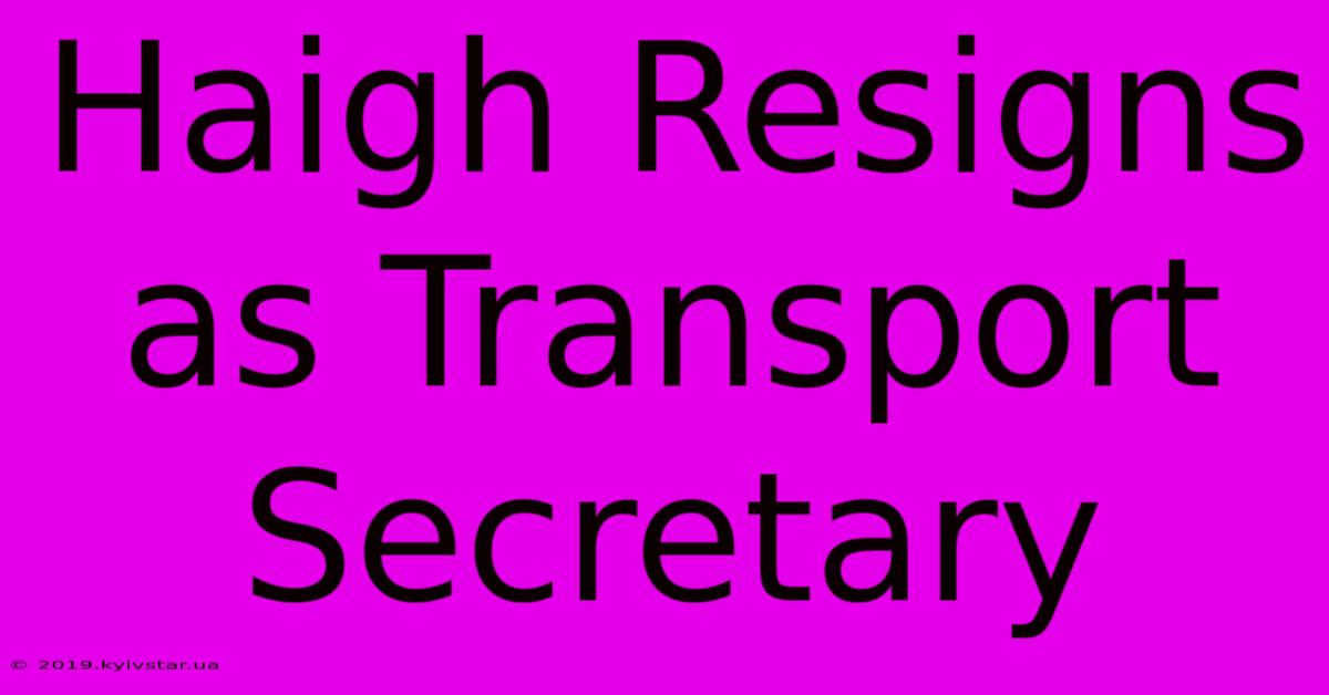 Haigh Resigns As Transport Secretary