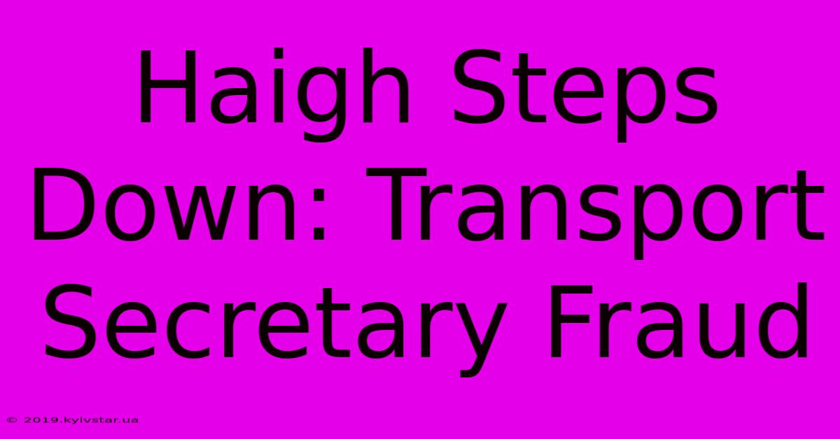 Haigh Steps Down: Transport Secretary Fraud