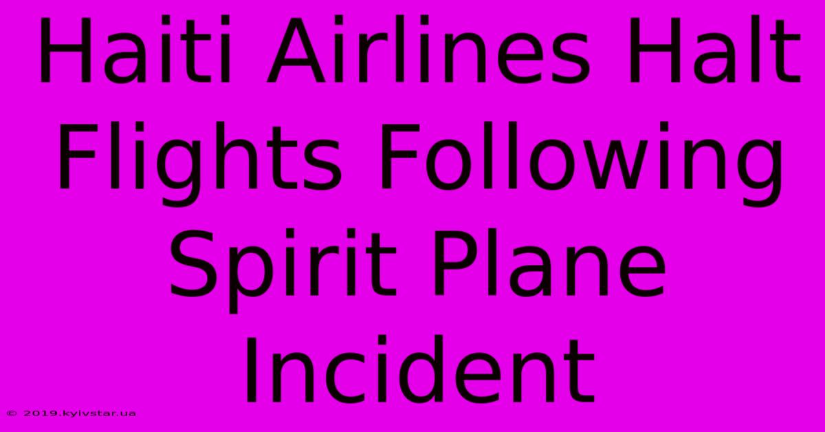 Haiti Airlines Halt Flights Following Spirit Plane Incident