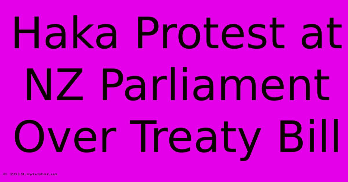 Haka Protest At NZ Parliament Over Treaty Bill