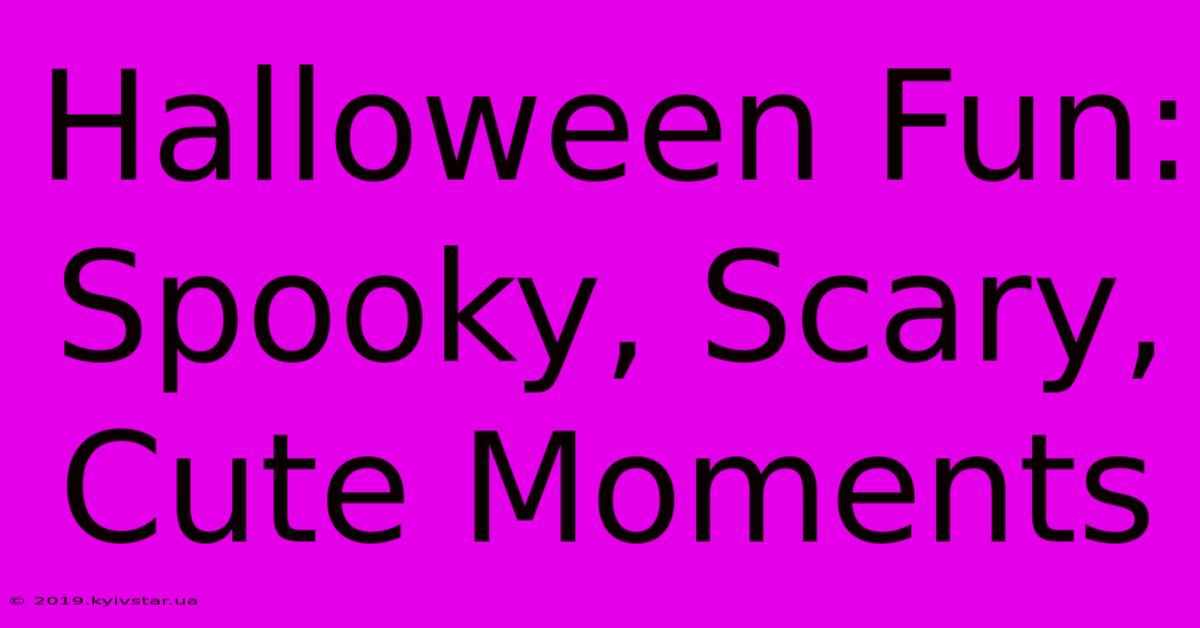 Halloween Fun: Spooky, Scary, Cute Moments