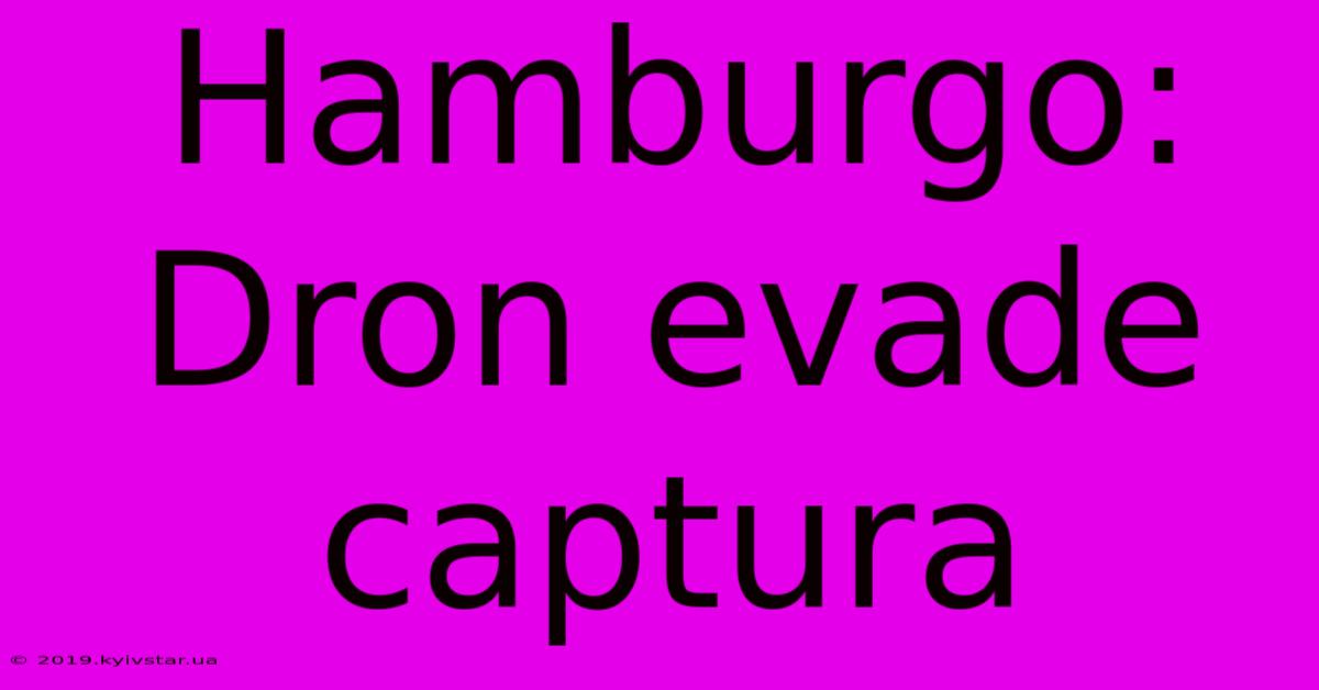 Hamburgo: Dron Evade Captura