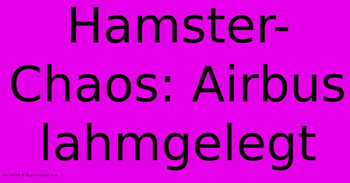 Hamster-Chaos: Airbus Lahmgelegt