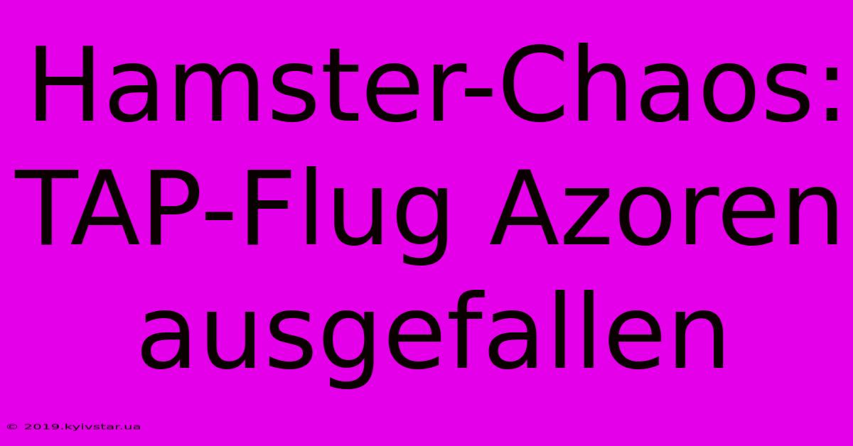 Hamster-Chaos: TAP-Flug Azoren Ausgefallen