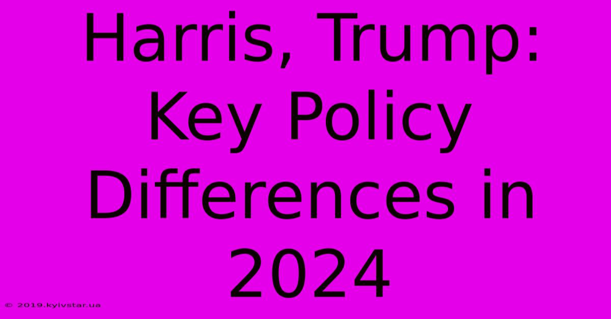 Harris, Trump: Key Policy Differences In 2024 