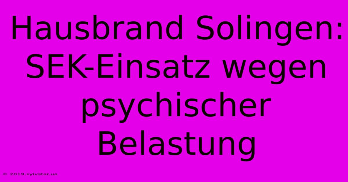 Hausbrand Solingen: SEK-Einsatz Wegen Psychischer Belastung