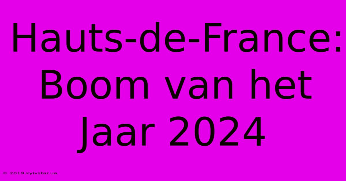 Hauts-de-France: Boom Van Het Jaar 2024