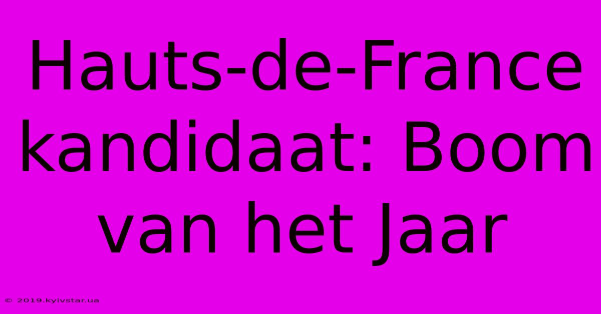 Hauts-de-France Kandidaat: Boom Van Het Jaar