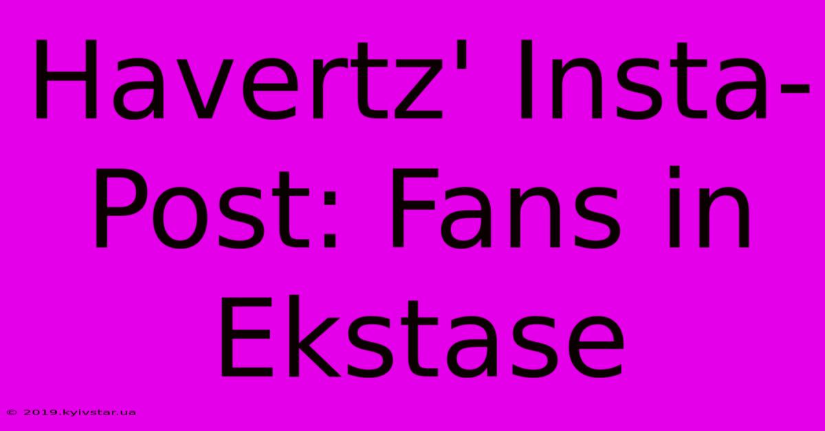 Havertz' Insta-Post: Fans In Ekstase