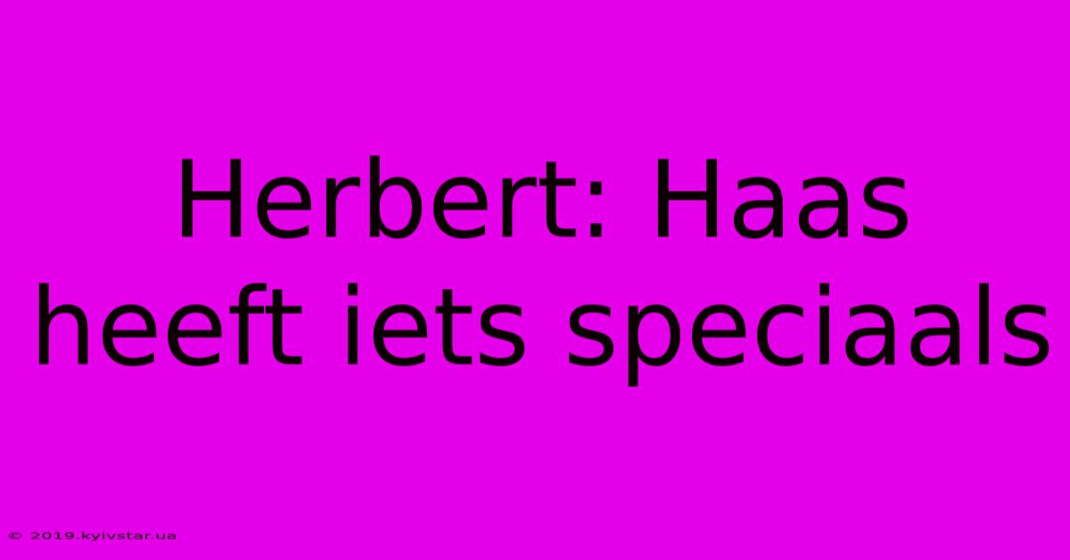 Herbert: Haas Heeft Iets Speciaals