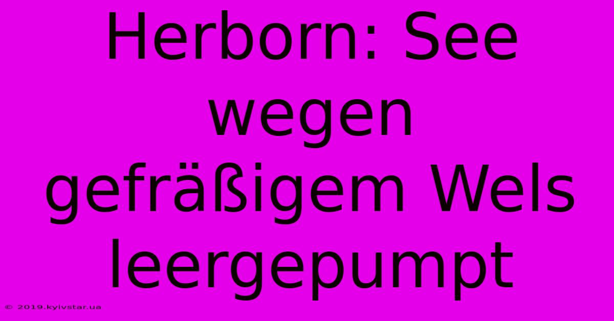 Herborn: See Wegen Gefräßigem Wels Leergepumpt