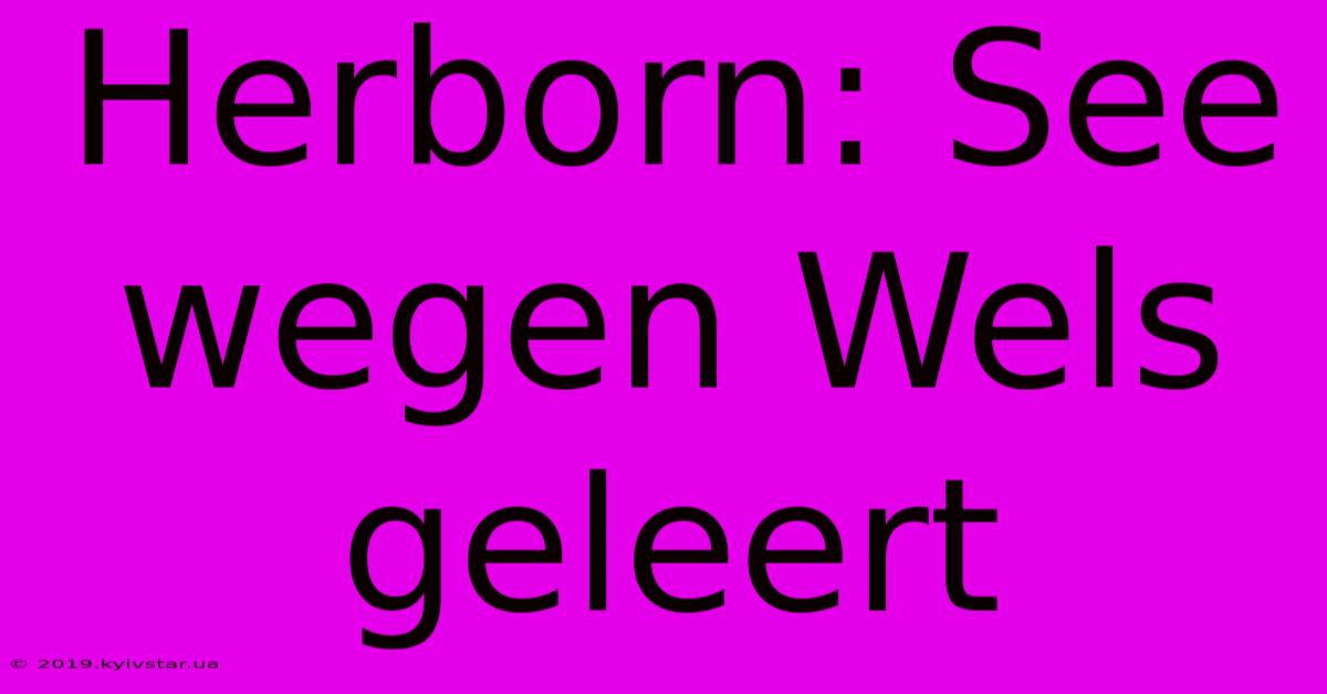 Herborn: See Wegen Wels Geleert