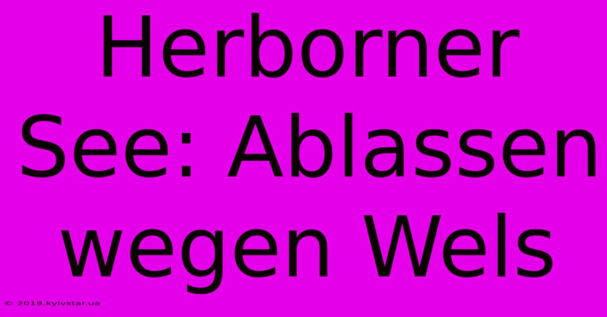 Herborner See: Ablassen Wegen Wels