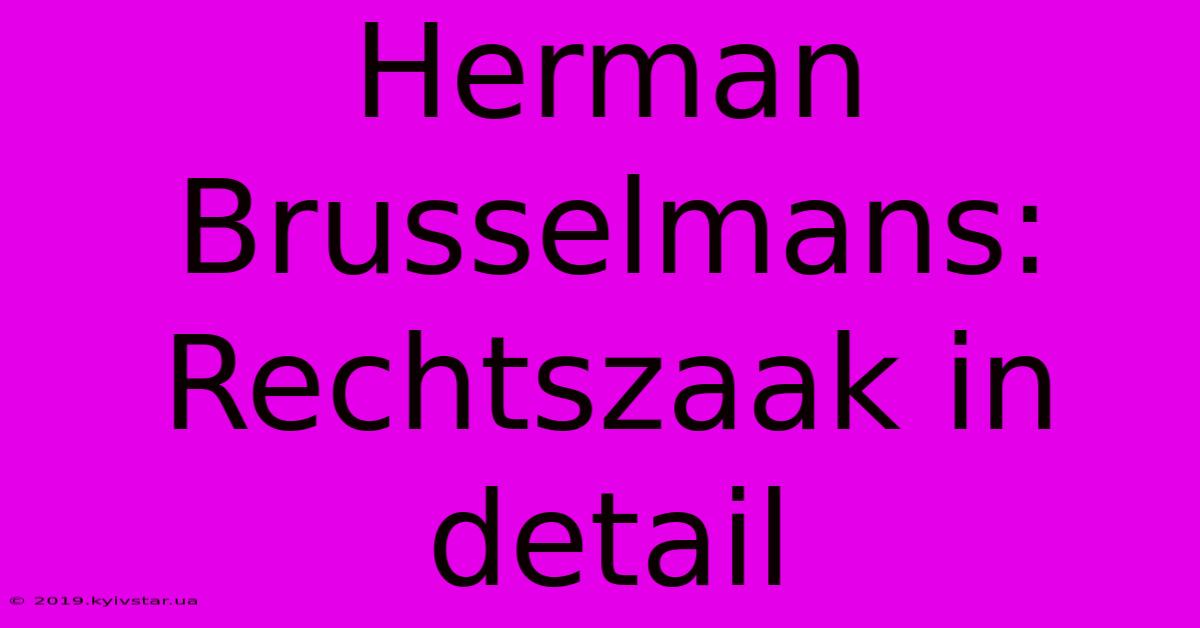 Herman Brusselmans: Rechtszaak In Detail