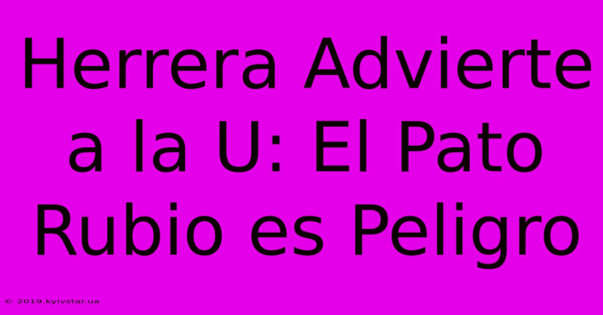 Herrera Advierte A La U: El Pato Rubio Es Peligro