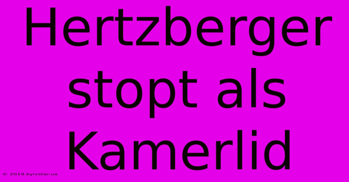 Hertzberger Stopt Als Kamerlid