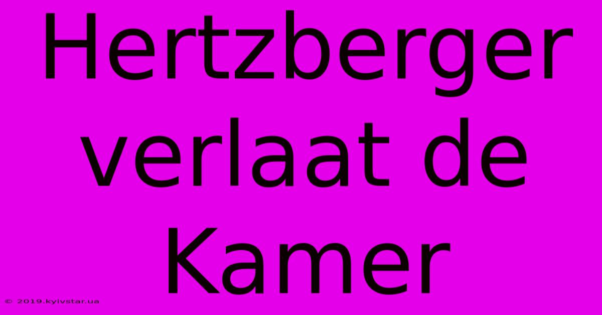 Hertzberger Verlaat De Kamer