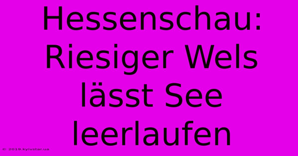 Hessenschau: Riesiger Wels Lässt See Leerlaufen