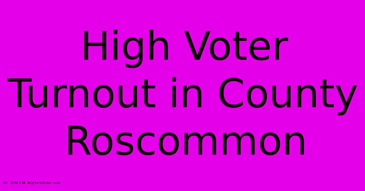 High Voter Turnout In County Roscommon