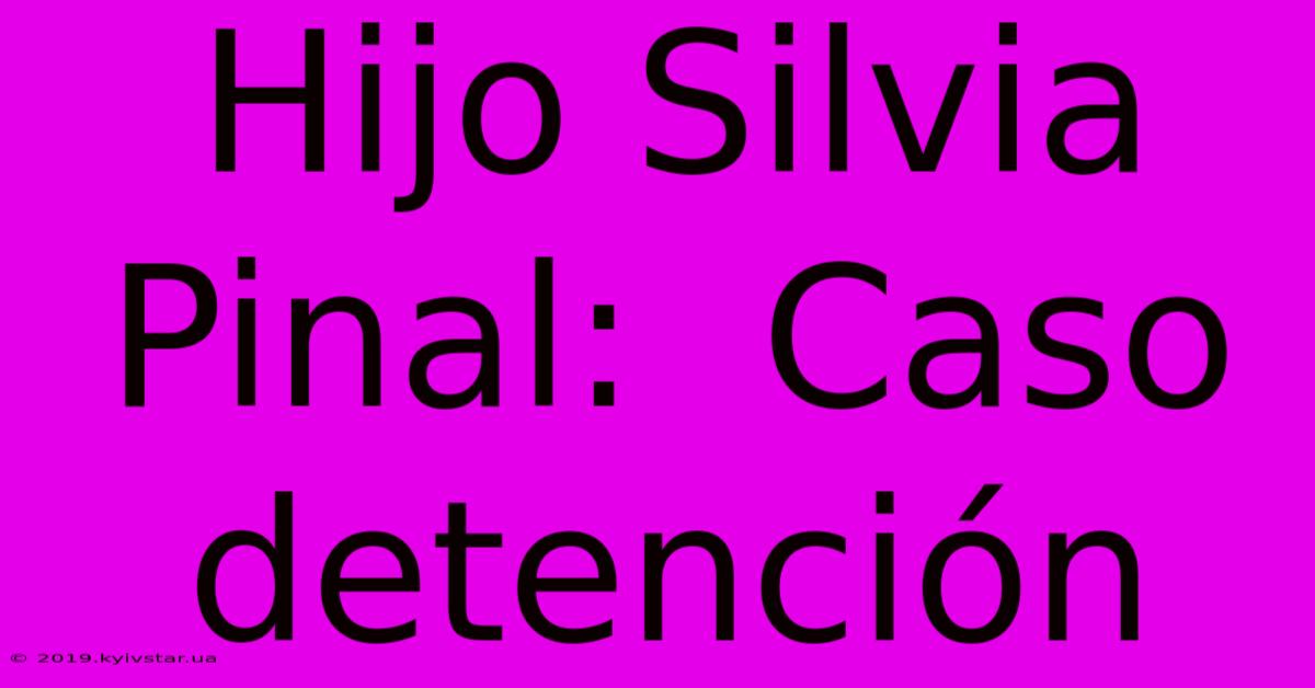 Hijo Silvia Pinal:  Caso Detención