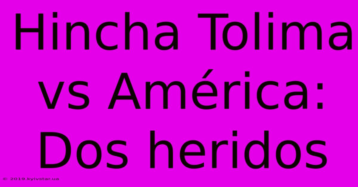 Hincha Tolima Vs América: Dos Heridos