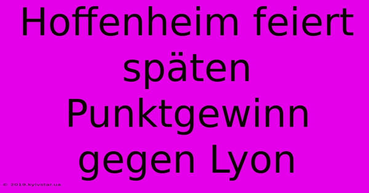 Hoffenheim Feiert Späten Punktgewinn Gegen Lyon